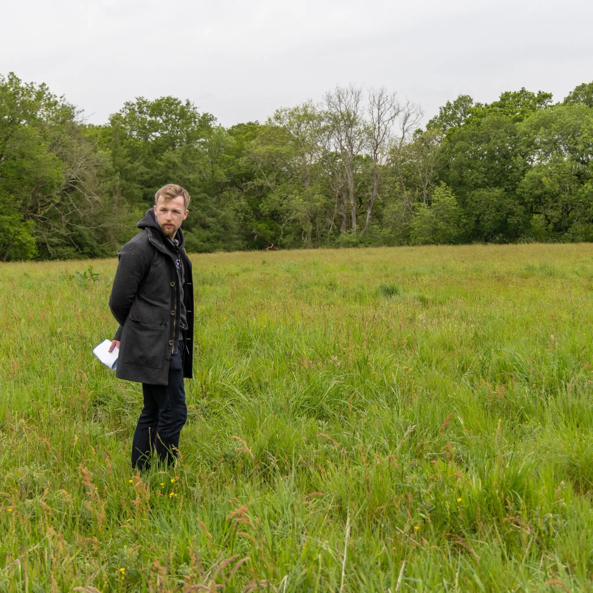 Glamping land assessment for a potential rural site transition