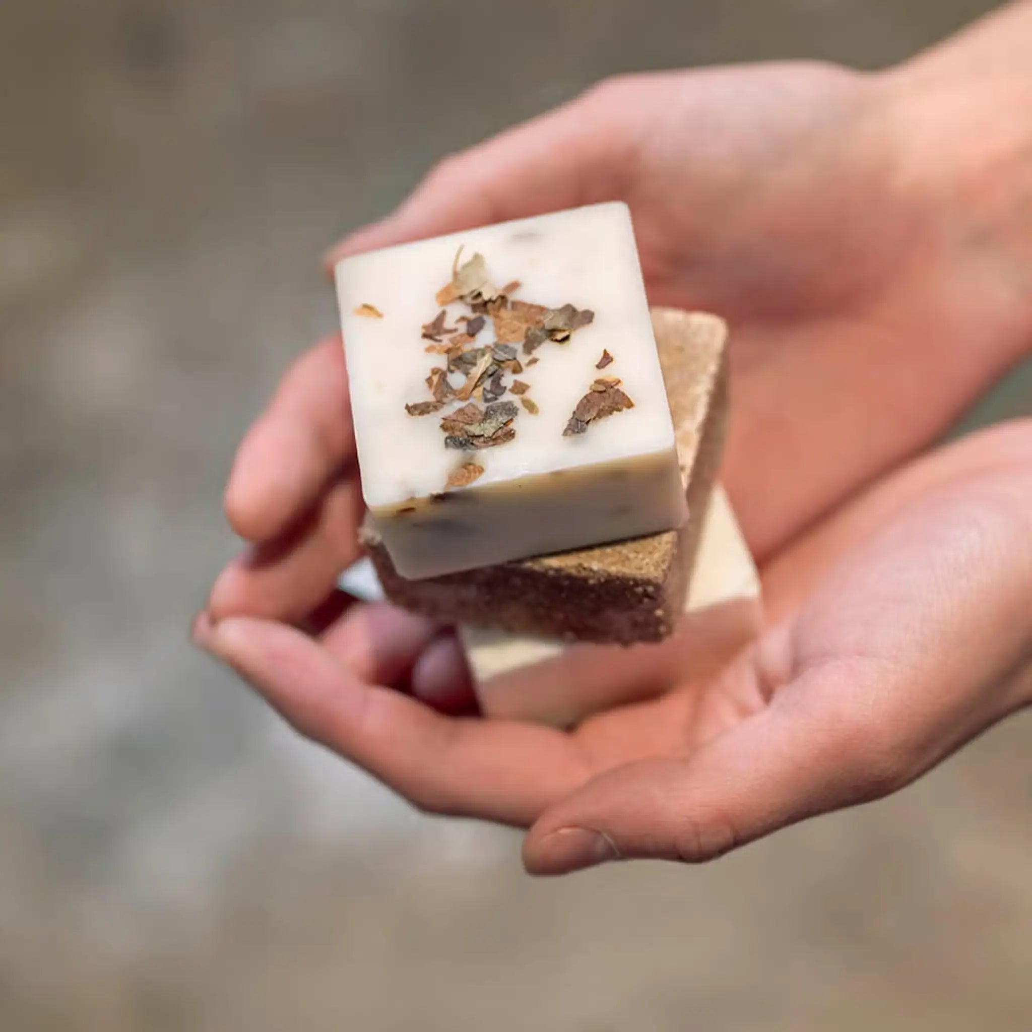 Rento Birch Soap 50g with natural birch pieces shown inside the bar.
