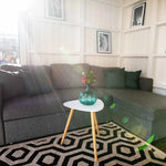 Interior with 3-Seat Sofa Under Sunlight in a Modern Garden Space
