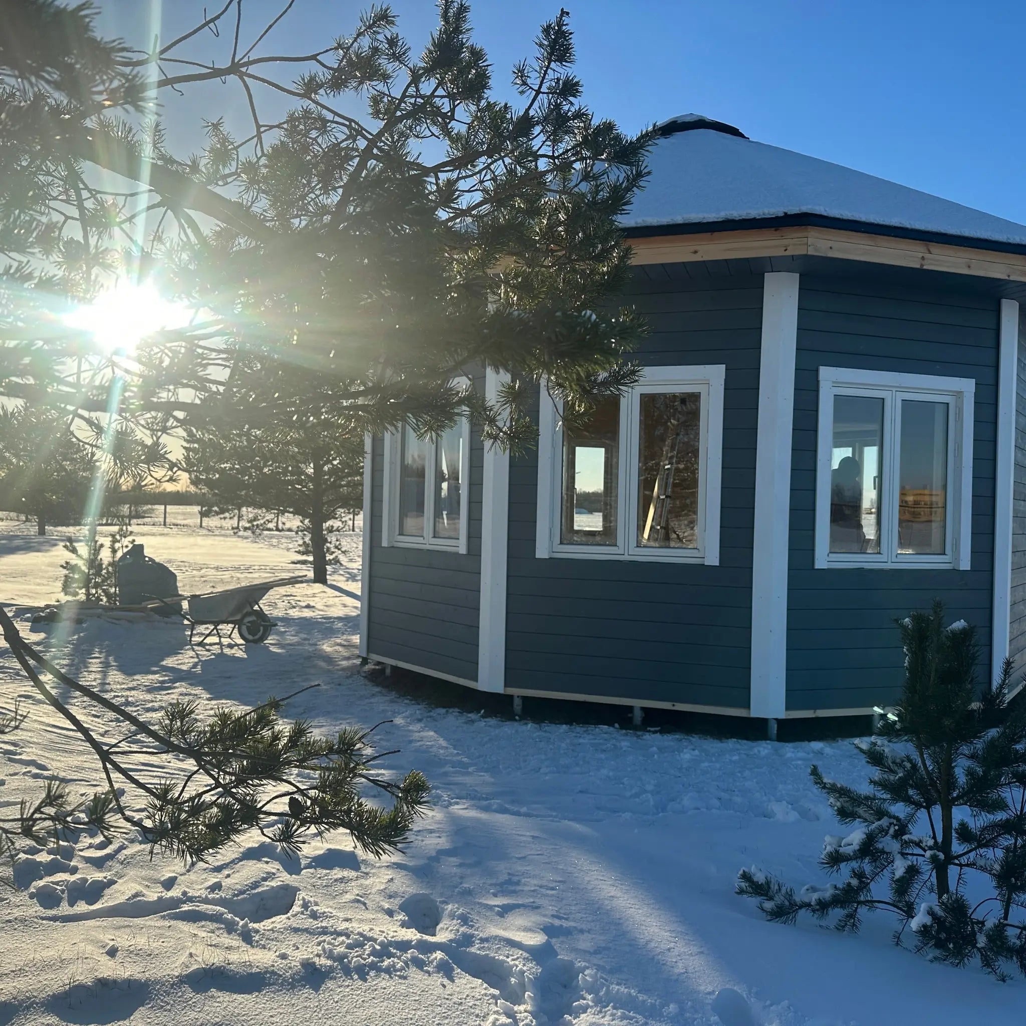 Winter exterior view of the Altura Loft Cabin with surrounding trees and natural landscape
