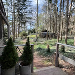 View from deck of Bowridge shepherd’s hut overlooking forest landscape