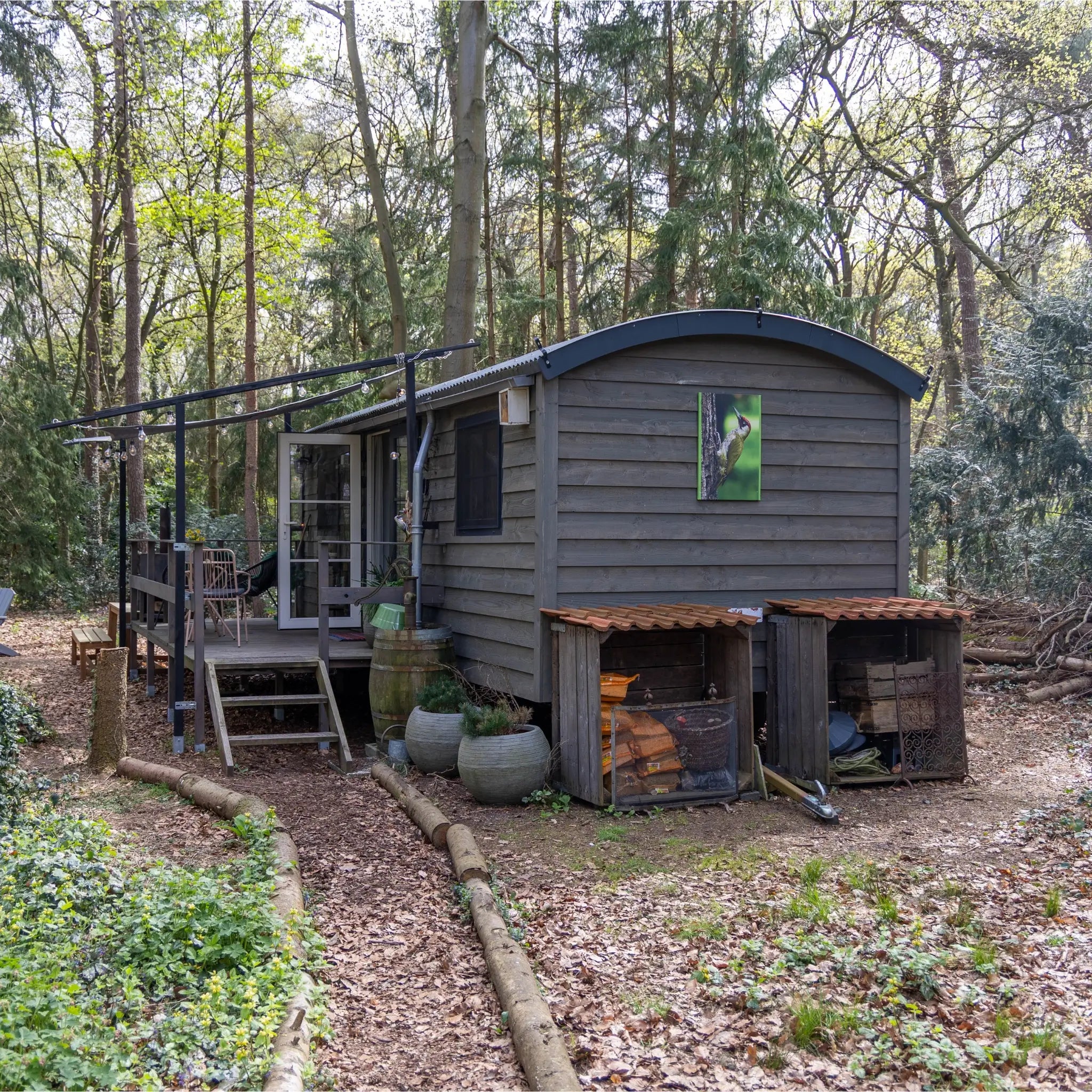 Side exterior view of a compact shepherd’s hut with woodland pathway, private terrace and rustic outdoor storage.