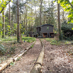 Secluded shepherd’s hut nestled in the forest with natural woodland path and tranquil glamping surroundings.
