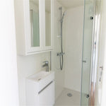 Modern bathroom interior with vanity sink, shower enclosure, and minimalist floating shepherd’s hut styling.