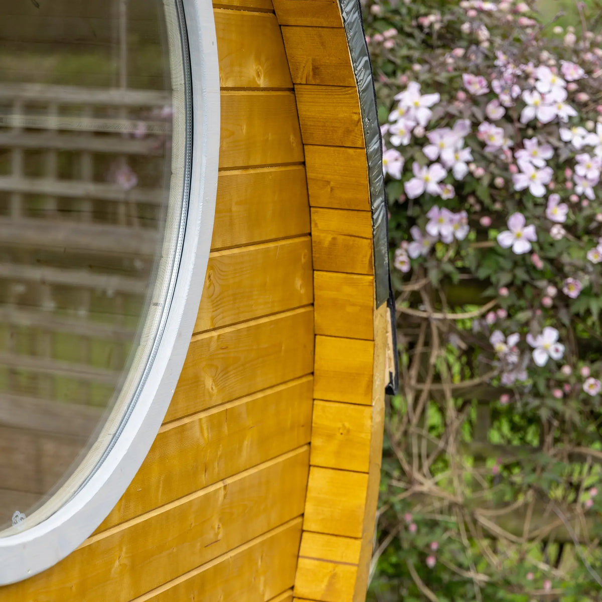 Window Pods The Grotto Pod - Luxury 3-Person Glamping Pod with Convertible Bed ...