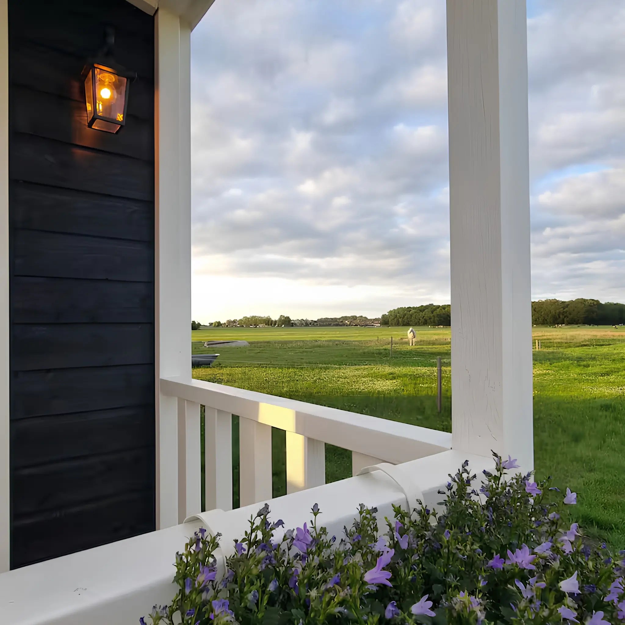 Close-up of front decking with white railings, flower planters, and countryside views across open fields.