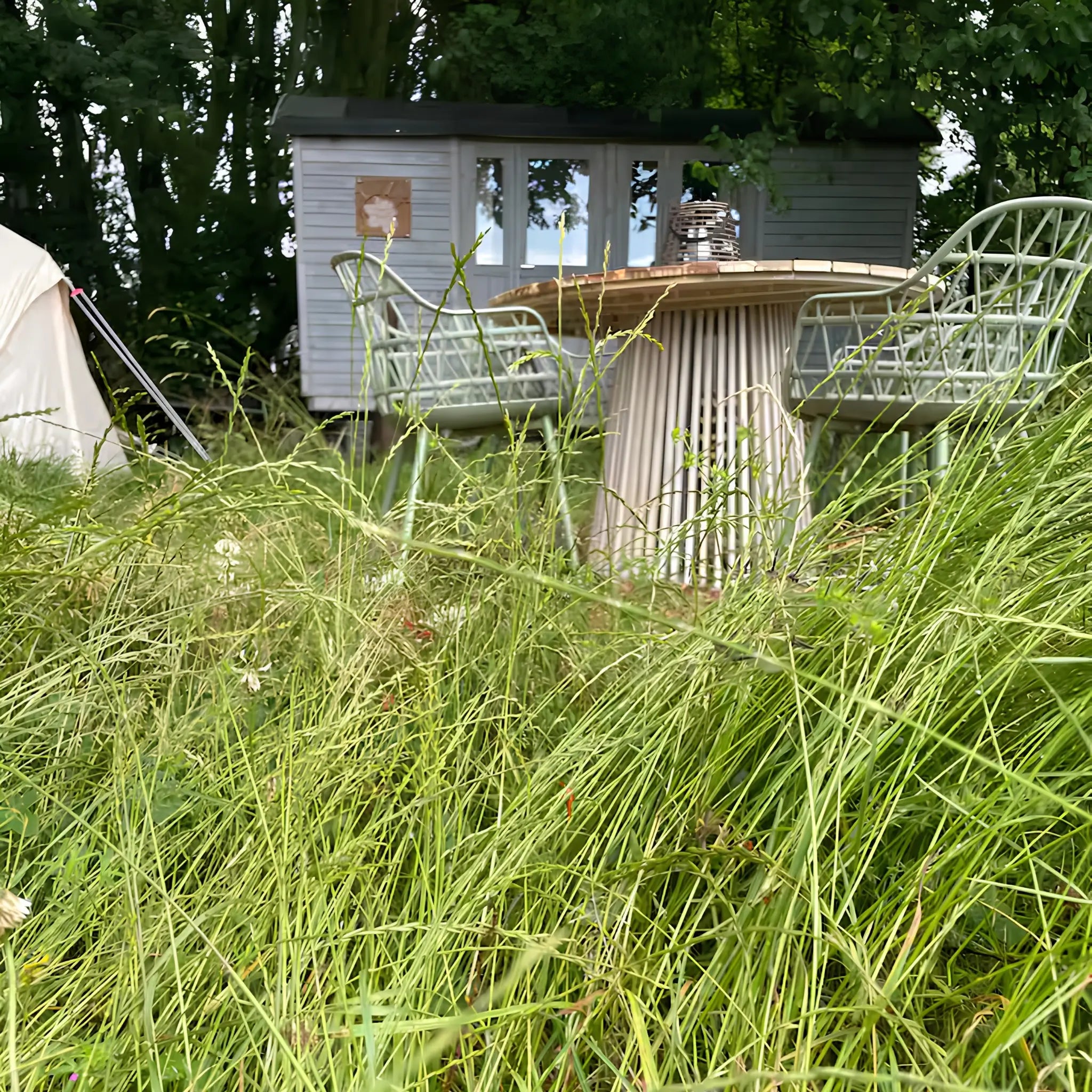 Rustic shepherd’s hut nestled in tall grass with outdoor dining table and woodland surroundings for a tranquil countryside retreat.