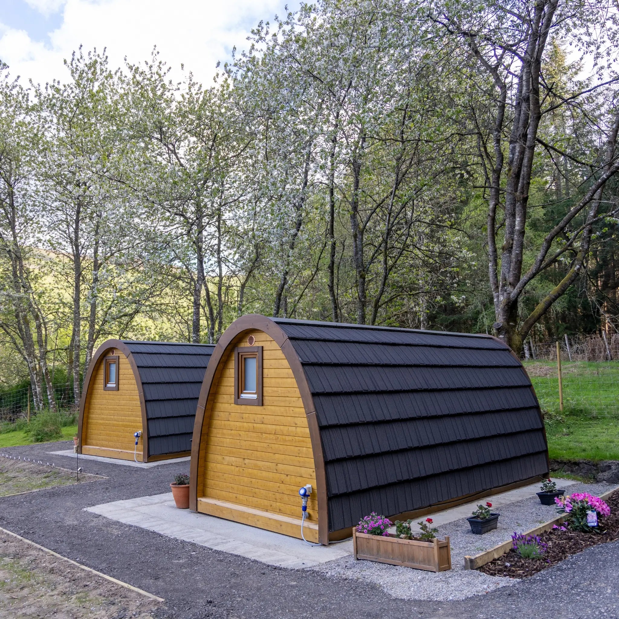 Rear view of two timber glamping pods with black curved roofs